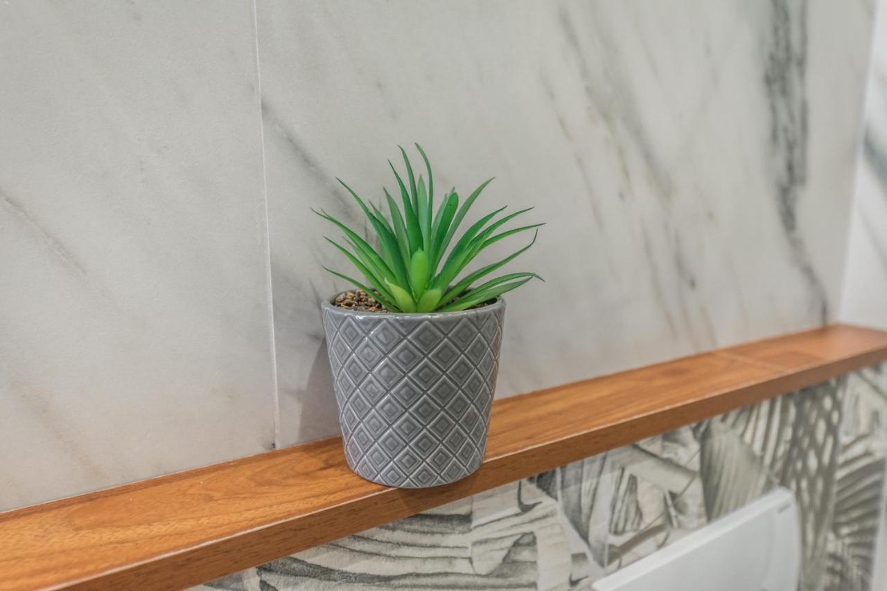 Tropical Palm Retreat-brand New * Durrës